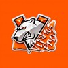 Логотип телеграм канала @virtus_pro_so2 — Virtus.pro Family | Standoff 2