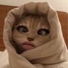Логотип телеграм канала @visagefoxlife — Канал той самой азиатки 🌝
