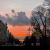 Логотип телеграм канала @vishnyalif — /Вишнёвая жизнь/