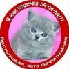 Логотип телеграм канала @visnox — лейс