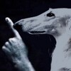 Логотип телеграм канала @visseqq — visseqq