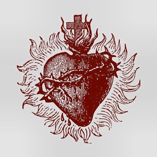 Логотип телеграм канала @vitaeque_reddenda — пока мы лицъ не обрѣли