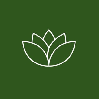 Логотип телеграм канала @vitalab24 — ВИТАЛАБ•Некрасовка•Анализы Литех