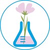 Логотип телеграм канала @vitaminkaxim — Онлайн-школа Марии Дудкиной