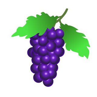 Логотип телеграм канала @vitis_chylanchik — Виноград на даче