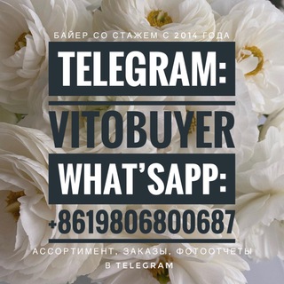 Логотип телеграм канала @vitobuyer — VitoBuyer