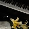 لوگوی کانال تلگرام vive_music — Vive music