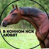 Логотип телеграм канала @vkonnomnsk — В КОННОМ НСК ЛЮБЯТ 🐴