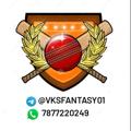 Telegram channel VKS FANTASY 🏏⚽ logo
