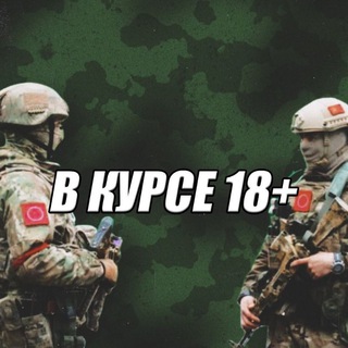 Логотип телеграм канала @vkurse200 — В КУРСЕ 18 