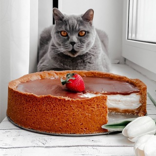 Логотип телеграм канала @vkusno_fm — ВкусноFM