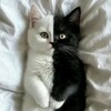 Логотип телеграм канала @vlad19970227 — Жизнь