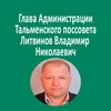 Логотип телеграм канала @vlad_litvinov_tal — Владимир Николаевич Литвинов