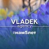 Логотип телеграм канала @vladekagency — Svetlana Vladek “Vladek Agency”