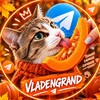 Логотип телеграм канала @vladengrand — 💠 VLADENGRAND | Вайбогенерация | Мы и Котики