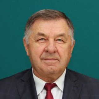 Логотип телеграм канала @vladimirnarozhny — Владимир Нарожный