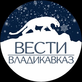 Логотип телеграм канала @vld_news — Вести Владикавказ
