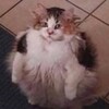 Логотип телеграм канала @vmesteplak — плакали вместе