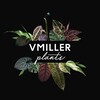 Telegram channel VMILLER plants🌱 logo