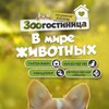 Логотип телеграм канала @vmirezhivothyh — В мире животных | Кинолог | Зоогостиница | Ветеринар | Грумер | Хендлер | Питомник собак