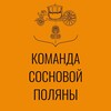 Логотип телеграм канала @vmo39 — Сосновая Поляна | Справедливая команда