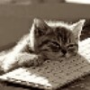 Логотип телеграм канала @vmrgrhist — — Записки Марки Гр.