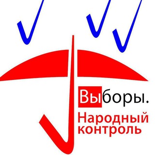Логотип телеграм канала @vnkinfo — ВНК - Выборы. Народный контроль