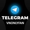 Logo of telegram channel vnonlyfan — VNonlyfan