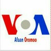Telegram channel VOA Afaan Oromoo logo