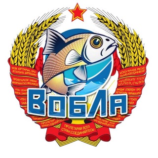 Логотип телеграм канала @vobla_iz_sssr — Вобла из СССР
