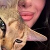 Логотип телеграм канала @vocnaxxx — Mk