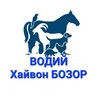 Telegram channel Водий ҳайвон бозори /Vodiy xayvon bozori logo