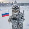 Логотип телеграм канала @voennaya_odejda — Военная одежда - экипировка опт🪖