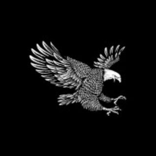 Логотип телеграм канала @voennayarossia — ВОЕННАЯ РОССИЯ