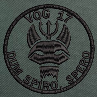 Логотип телеграм -каналу vogg17 — VOG-17