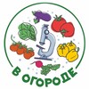 Логотип телеграм канала @vogorodeodin — В огороде