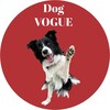 Logo of telegram channel voguedog — Dog Vogue