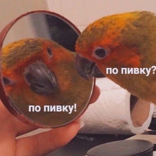 Логотип телеграм канала @voicefromparasha — Голос с параши