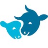 Логотип телеграм канала @voicesforanimals — Голоса за животных