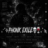 Логотип телеграм канала @voidadrenalin — :･ﾟ✧PHONK EXILE💀🍷 . ࣪ ˖ ࿐