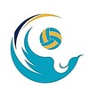 Telegram kanalining logotibi voleybol_videolar — Volleyball Uzbekistan
