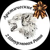 Логотип телеграм канала @volfzv — Арктические Волки