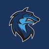 Логотип телеграм канала @volkovteamnsk — VolkovTeam.nsk