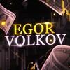 Telegram channel Egor Volkov logo