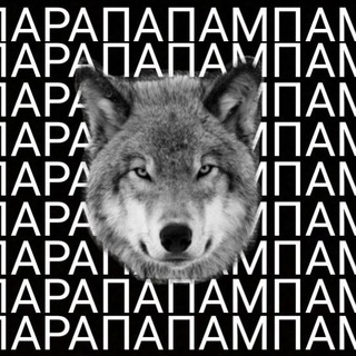 Логотип телеграм канала @volkparapapapam — Волк парапапапам.пам