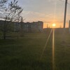 Логотип телеграм канала @vollovee — в Волгодонске любят