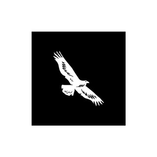 Логотип телеграм канала @volnitsamedia — Вольница