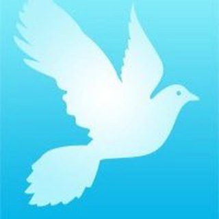 Логотип телеграм канала @volonterykryma — Добро Мира - Волонтёры Крыма