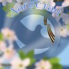 Логотип телеграм канала @volonterypobedydagestan — Волонтеры Победы Дагестана