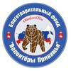 Логотип телеграм канала @volonteryprikamia — 🇷🇺Волонтеры Прикамья #ЖдёмдомойСВОих!🔺